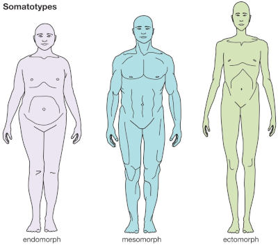 somatotype